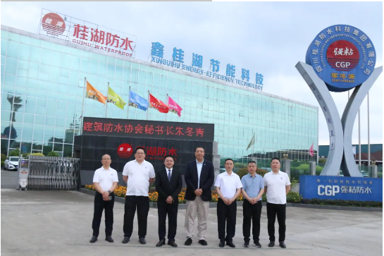 中國建築防水（shuǐ）協會秘書長朱冬（dōng）青調研桂湖防水集團，共話防水（shuǐ）行業發展新機遇